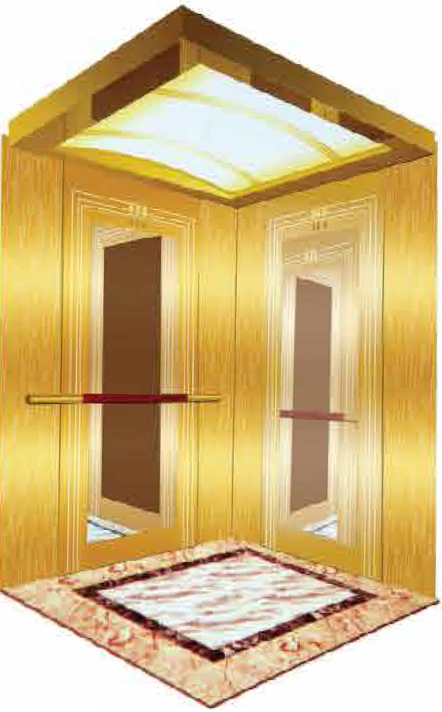 Inox cabin thang máy - Hoa Văn Cửa Chữ Nhật